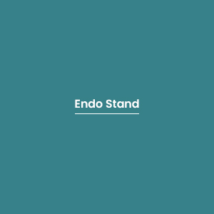Endo Stand